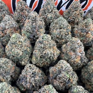 Durban Poison (D29)
