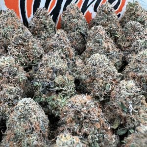 Apricot Gelato