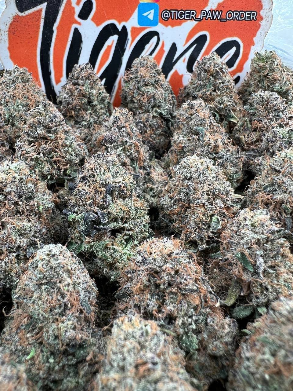 Apricot Gelato