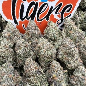 ZAZA Lemon Cherry Gelato (D08)