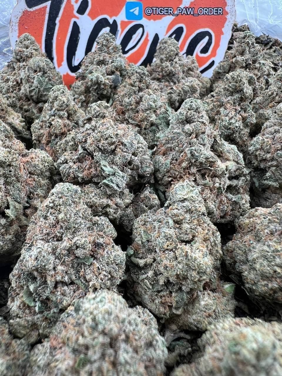 Sundae Driver (D18)