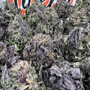 Jelly Rancher (D09)