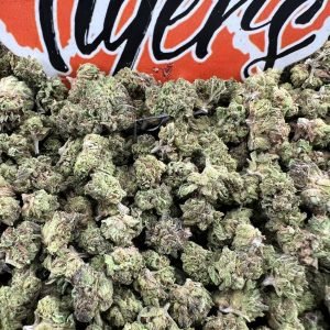 Molotov Cocktail strain