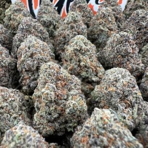 Candy Rain strain