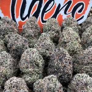 Fruity Gelato strain