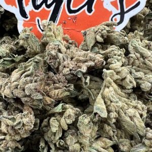 White Rhino strain