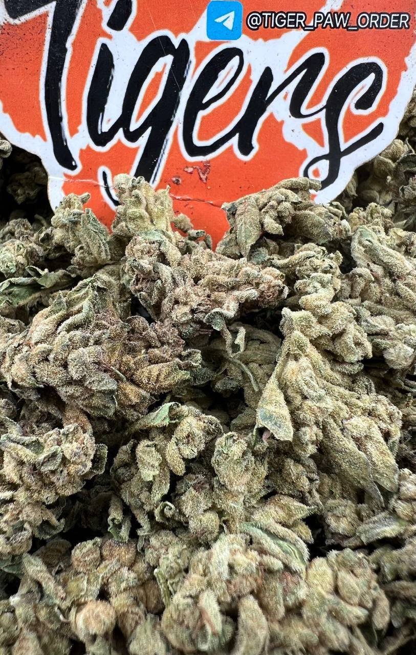 White Rhino strain