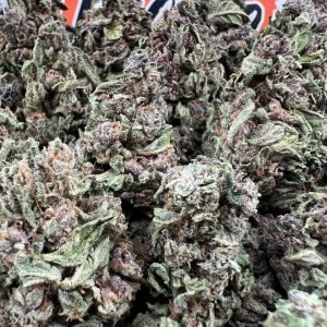 Blue Zushi strain