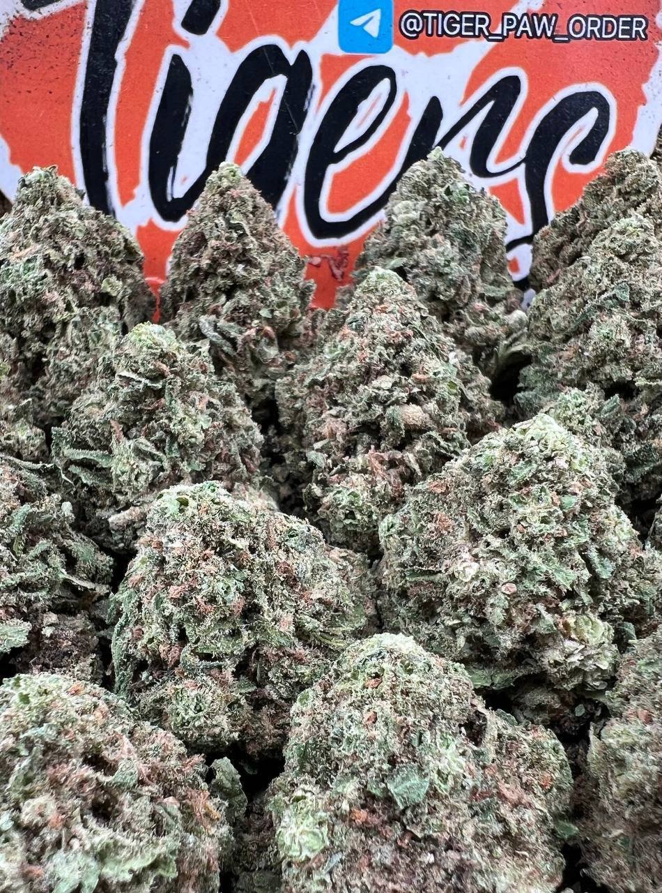 White Cherry gumbo strain