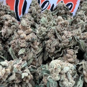 Snow Bud Strain