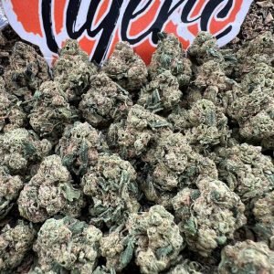 Apple Fritter strain