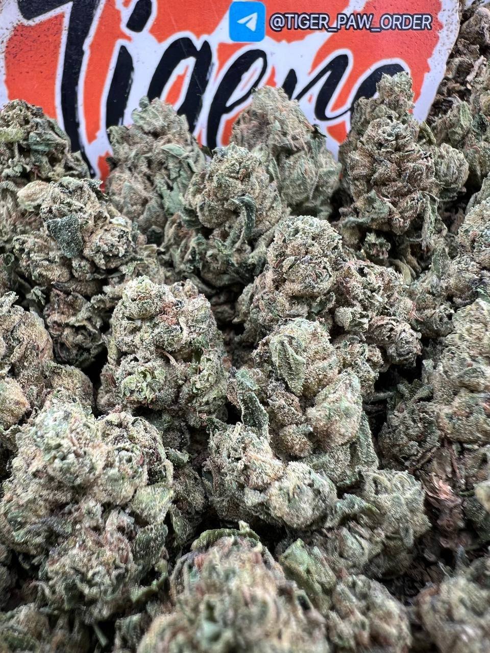 Gelato 45 Weed strain