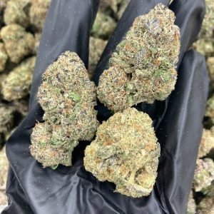 LA Kush Cake strain
