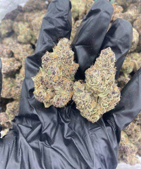 BlockBerry Strain