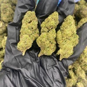 Double baked cake strain