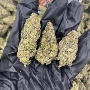 Pop Rox strain