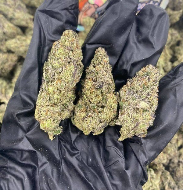 Pop Rox strain
