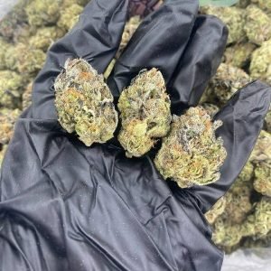 Slurty Strain