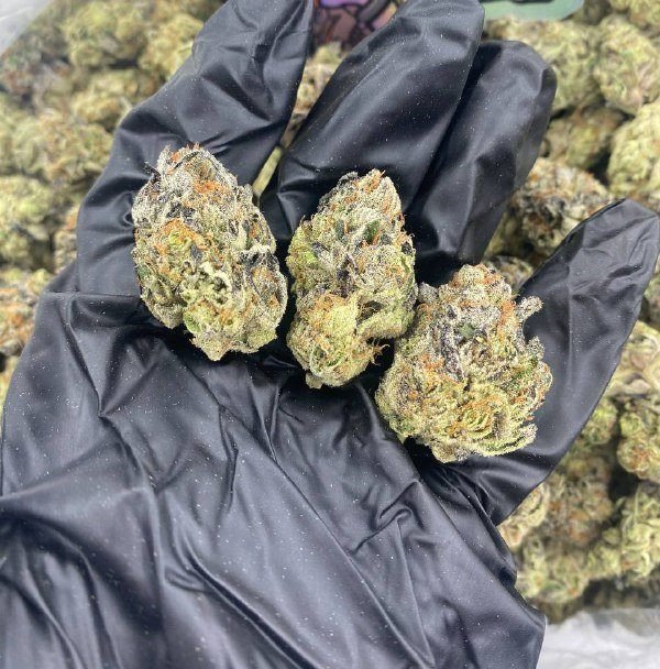 Slurty Strain