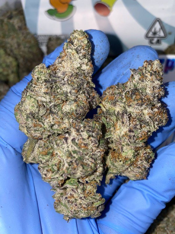 Exotic White Bubblegum Strain