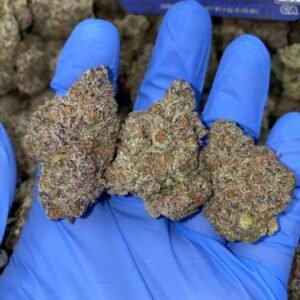 Exotic Biscotti Weed Strain