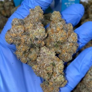 Exotic Gary Payton Strain