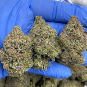 Indoor Runtz OG strain