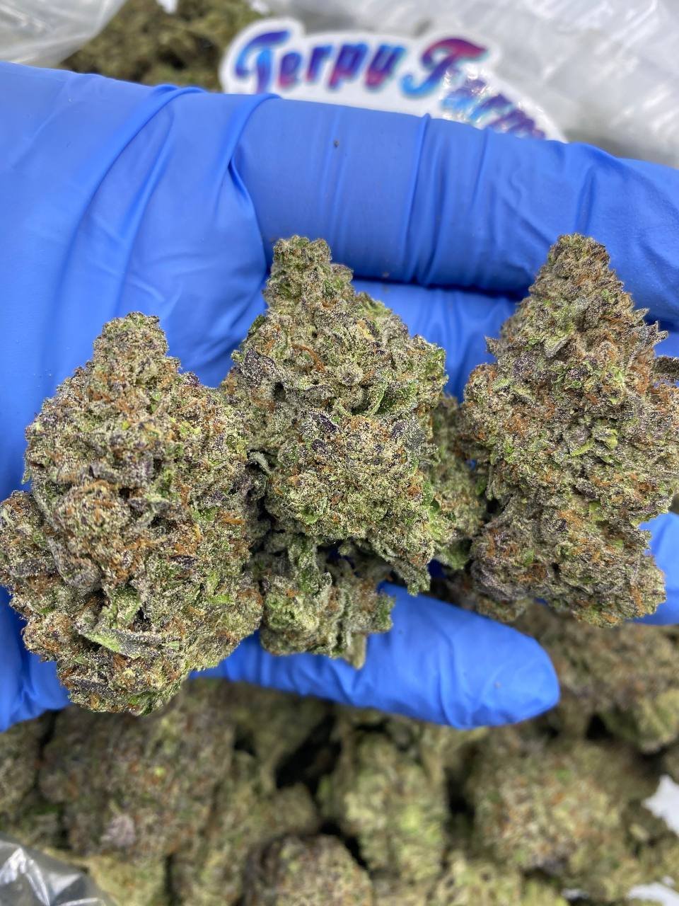 Indoor Runtz OG strain
