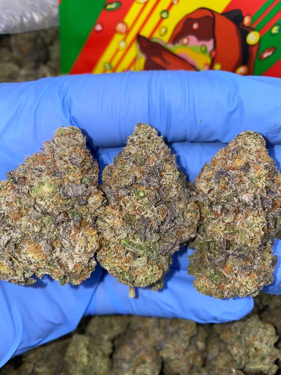 Zerbert Strain