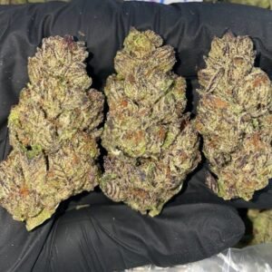 Italian Ice Strain