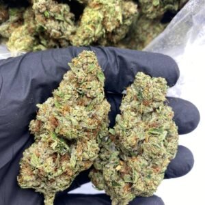 Rolex OG Strain