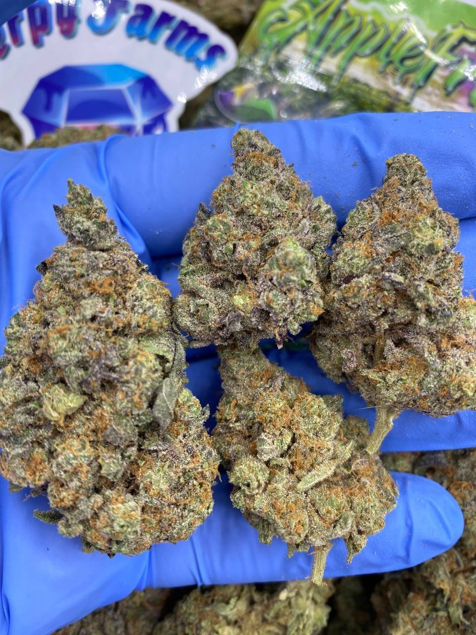 Apple Fritter Strain