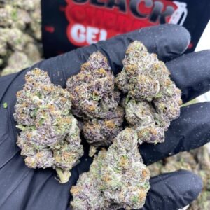 Black Cherry Gelato Strain