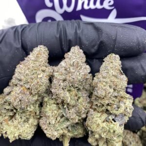 White Runtz Strain