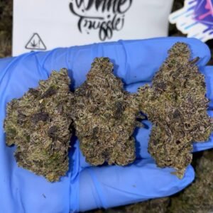 White Truffle Strain