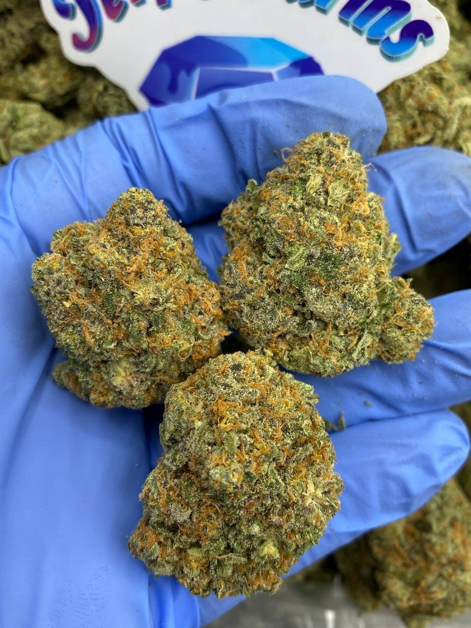 London pound cake strain 75