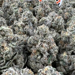 LA POP Rock strain