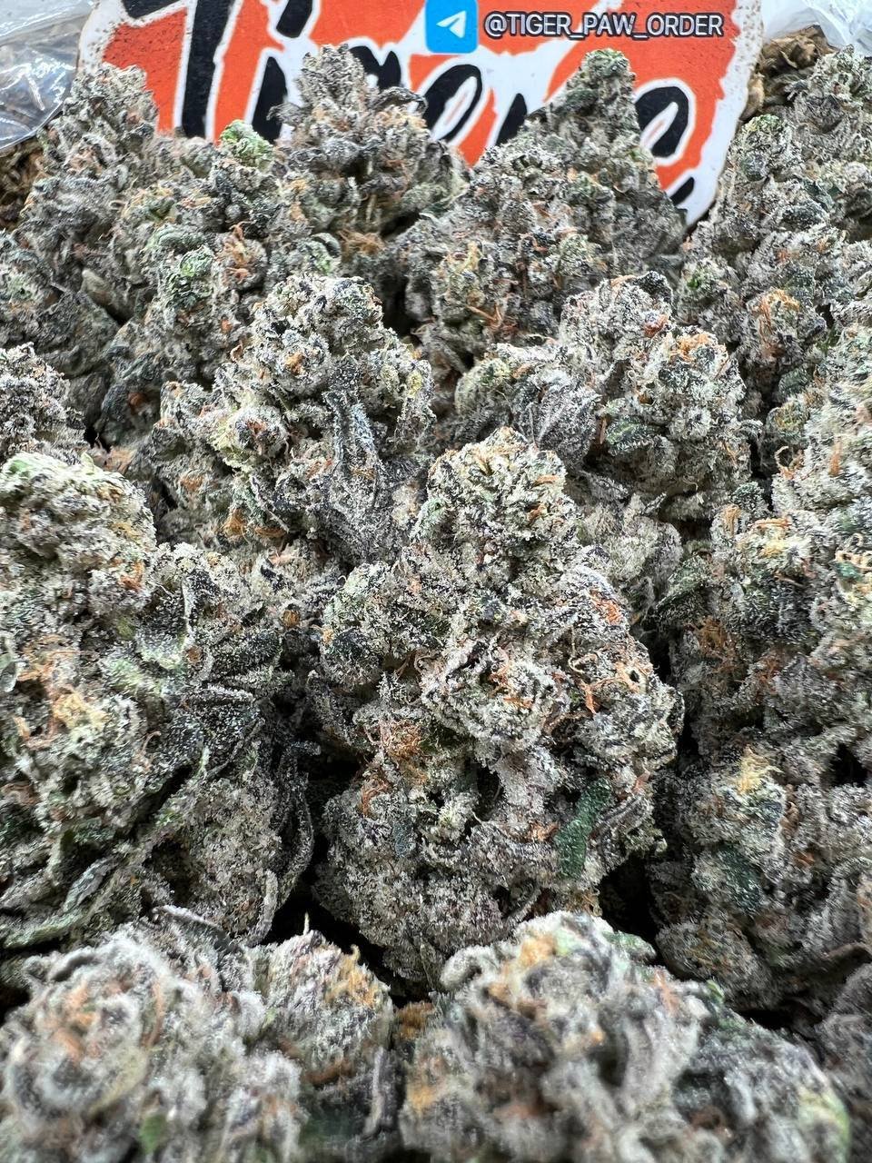 Lemon raspberry gelato strain