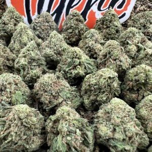 Gorilla Cookies strain