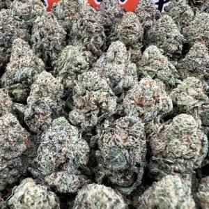 Starburst strain