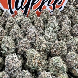 PM PPP strain