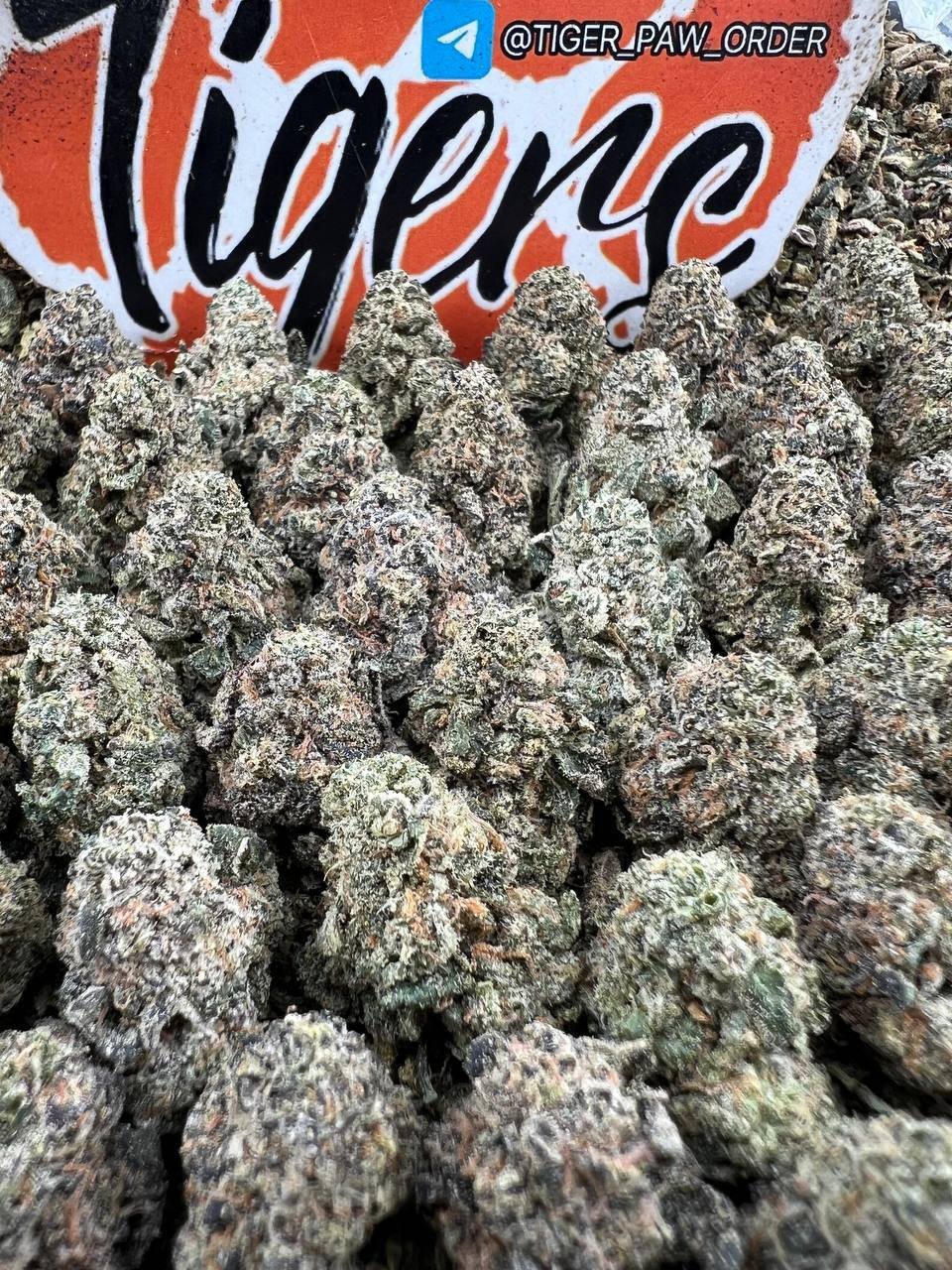 PM PPP strain