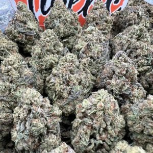 Sugar tarts strain