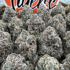 Lava LCG strain