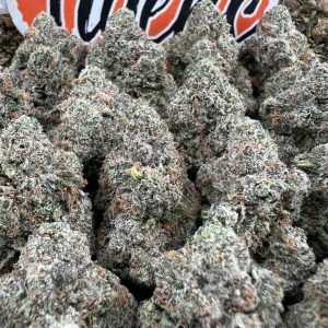 Bubblegum LCG strain