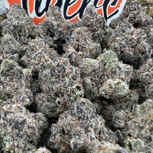 Wonka bars strain