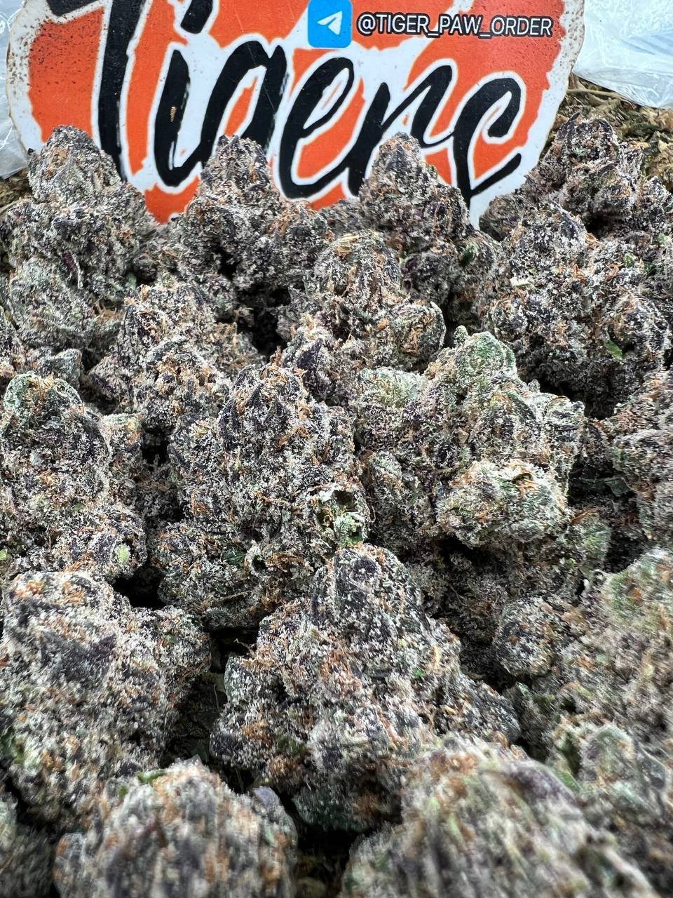 Wonka bars strain
