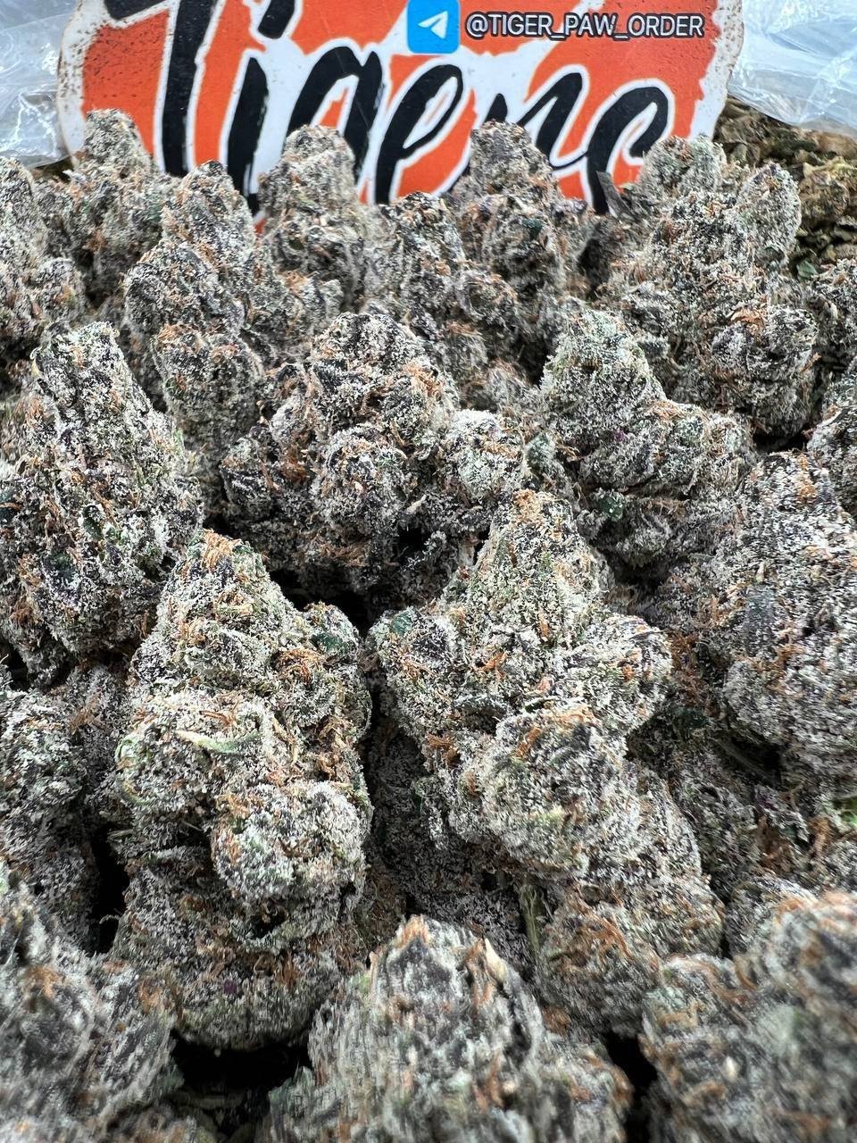 Rainbow Candy strain