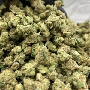 BISCOTTI RUNTZ Strain