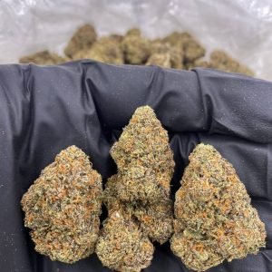 Biscotti Strain for sale